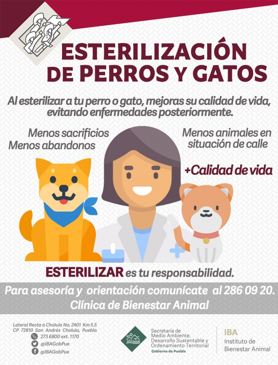 Esteriliza