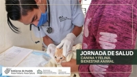 Jornada Canina y Felina en San Andr&eacute;s Cholula